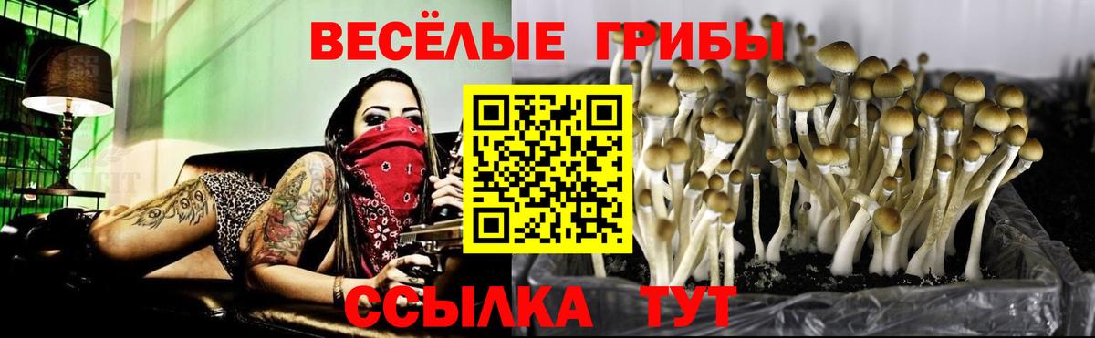 Галлюциногенные грибы MAGIC MUSHROOMS  Вход с VPN  Северобайкальск 